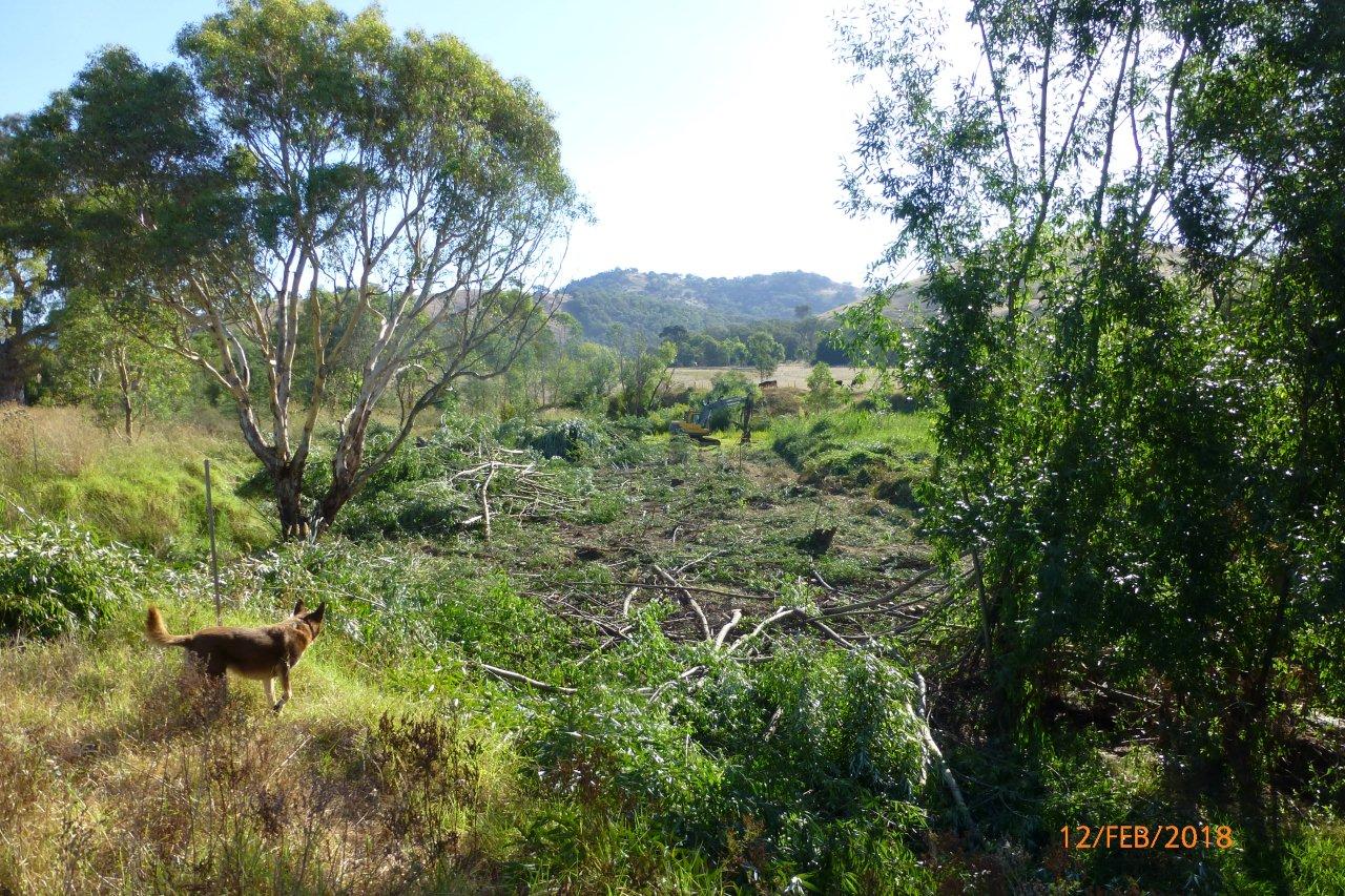 Middle Creek Riparian Project